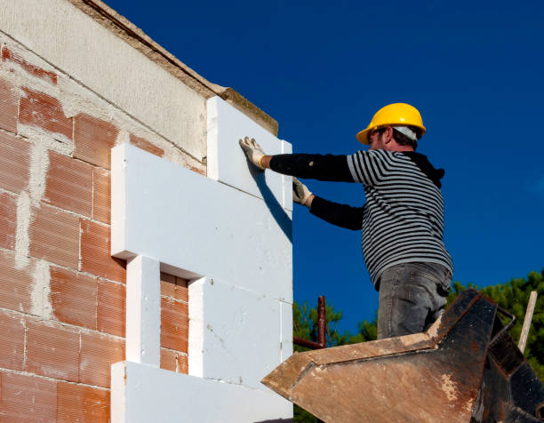 Best Residential Insulation in Hackberry, TX