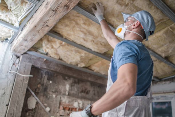 Best Insulation for Specific Applications in Hackberry, TX