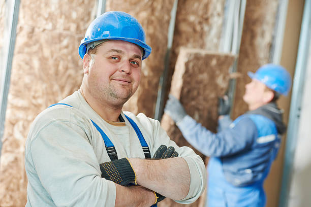 Best Commercial Insulation in Hackberry, TX